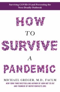 Rebellicious - How To Survive A Pandemic