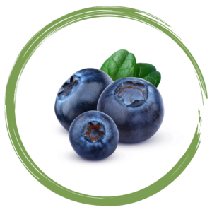Rebellicious - blueberry