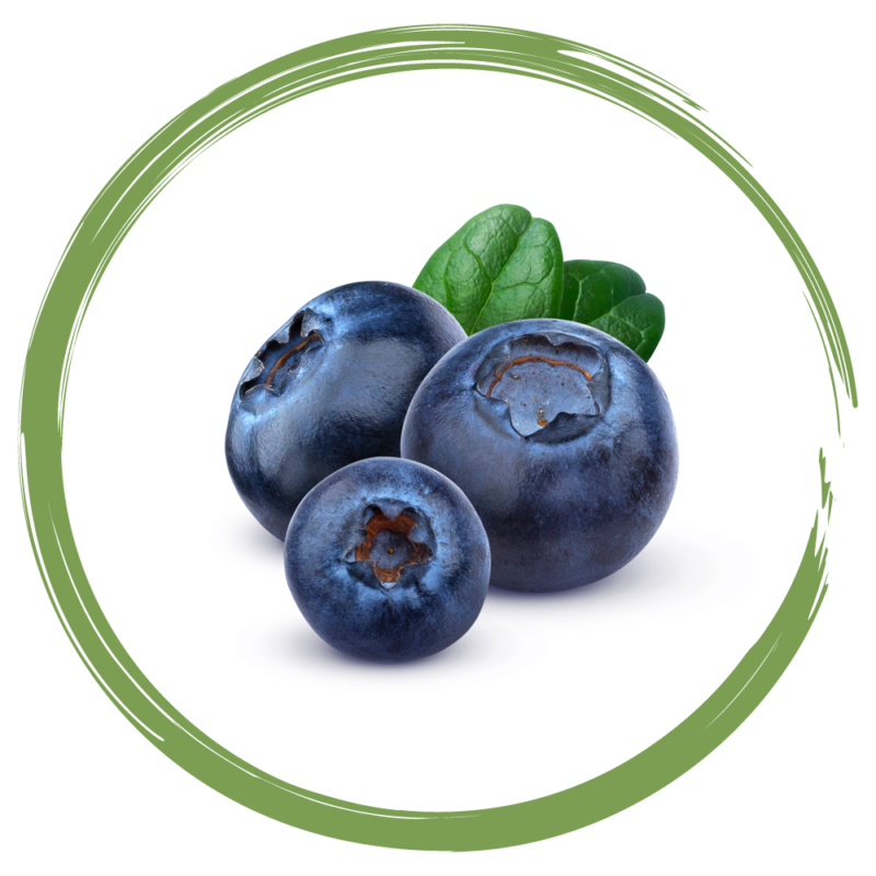Rebellicious - blueberry