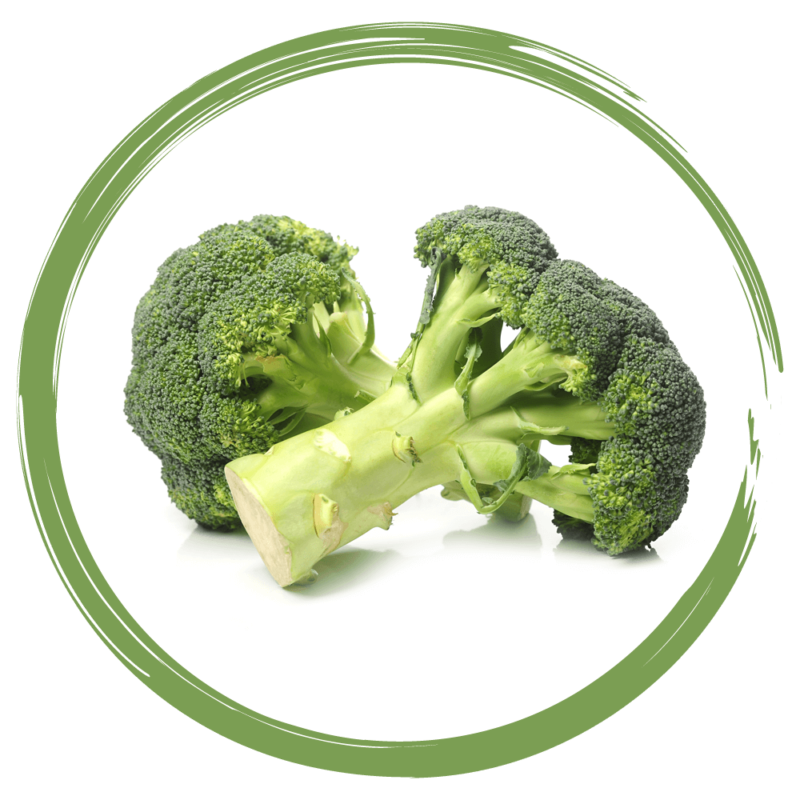 Ribelle - broccoli