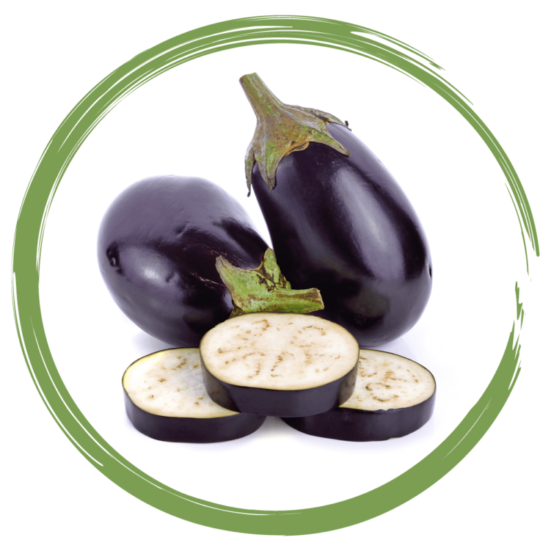 Rebellicious - eggplant