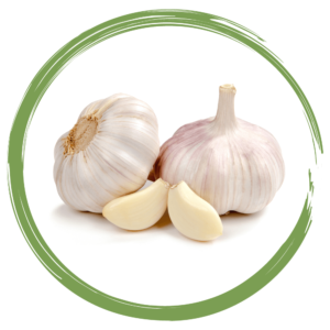 Rebellicious - garlic