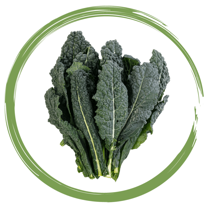 Rebellicious - cavolo nero