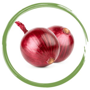 Rebellicious - onion