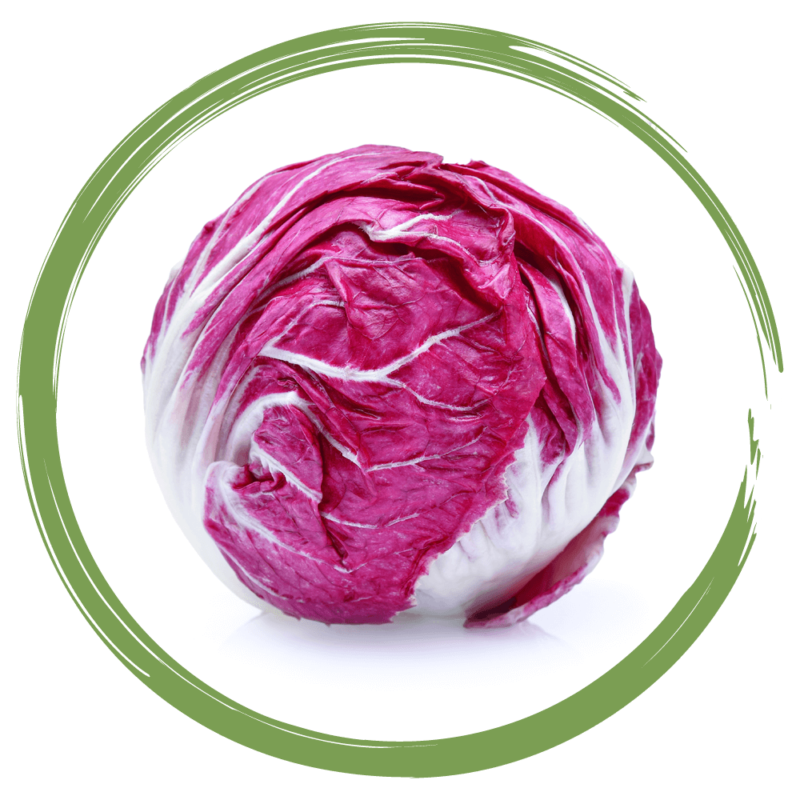 Rebellicious - red cabbage