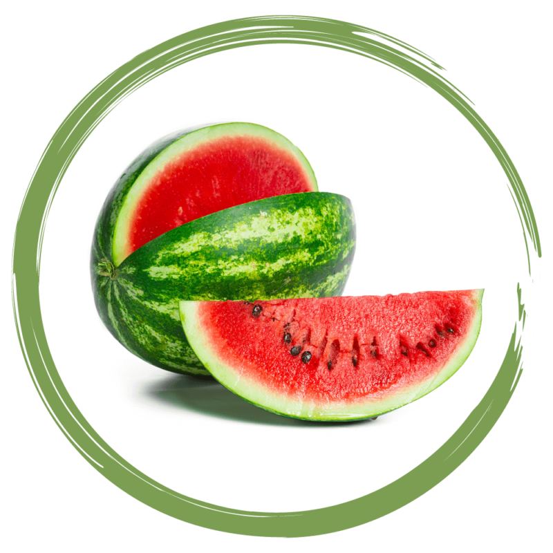 Rebellicious - watermelon