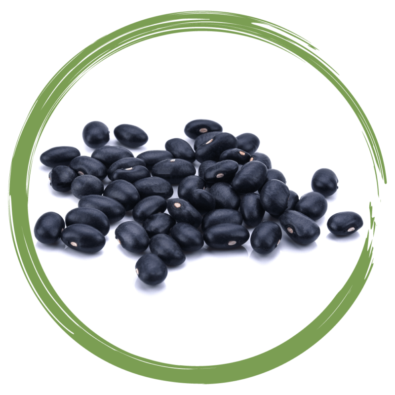 Rebellicious - black bean