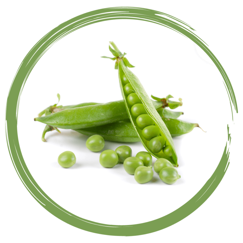 Rebellicious - peas